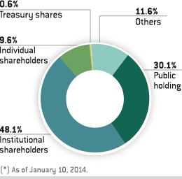 Class of shareholders (pie chart)